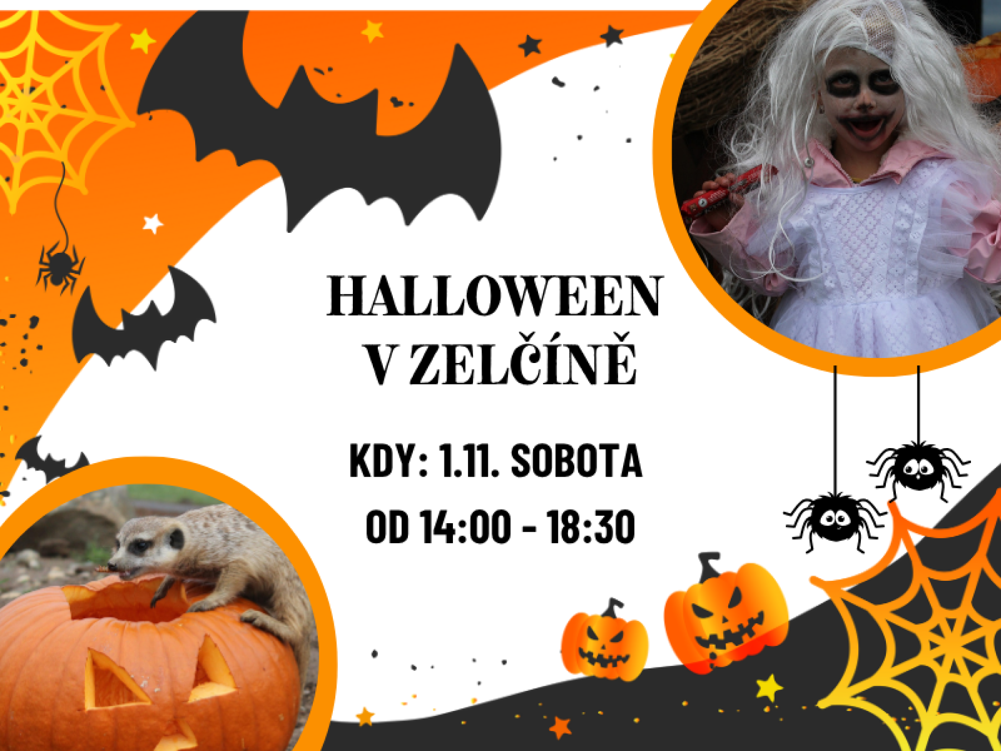 f0c55f8d-akce-podzim-5.png