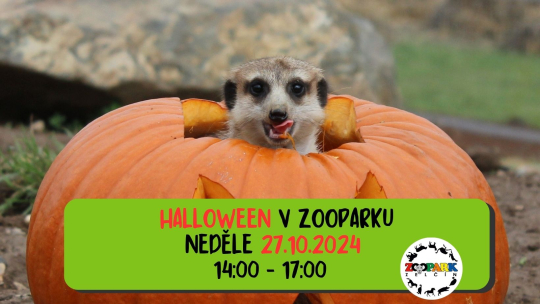 HALLOWEEN V ZELČÍNĚ