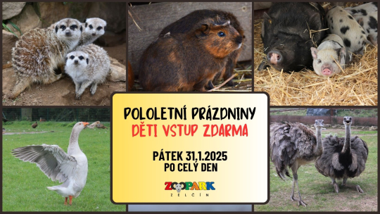 POLOLETNÍ PRÁZDNINY V ZELČÍNĚ - DĚTI do 15 let VSTUP ZDARMA