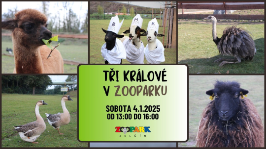 TŘI KRÁLOVÉ V ZOOPARKU