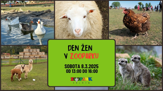 DEN ŽEN V ZOOPARKU