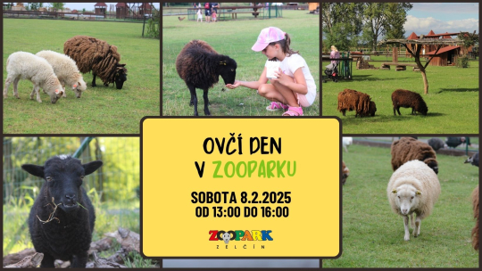 Ovčí den v Zooparku