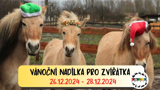 VÁNOČNÍ NADÍLKA PRO ZVÍŘÁTKA